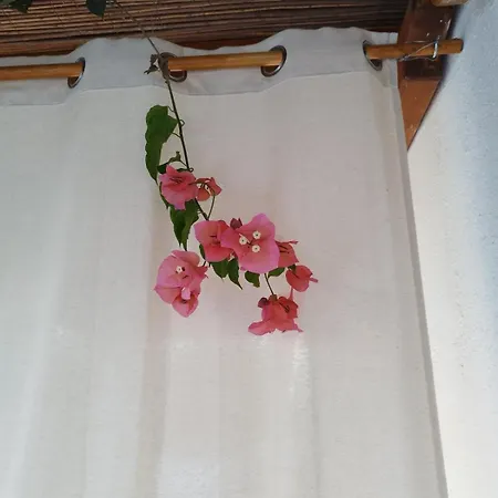 Iro's Cute House شقة باروس