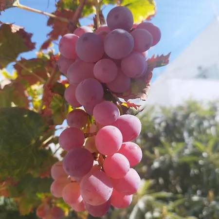 شقة Iro's Cute House *