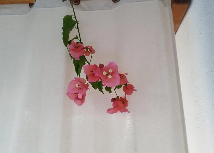 Iro's Cute House Apartmán Páros