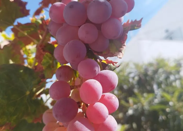 Apartmán Iro's Cute House *